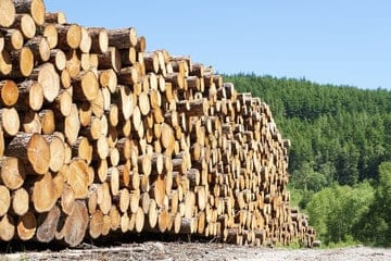 quintali di legna accatastata da ardere
